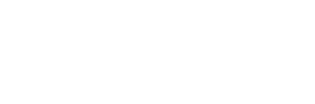 Aella Stainless Steel Jewelry