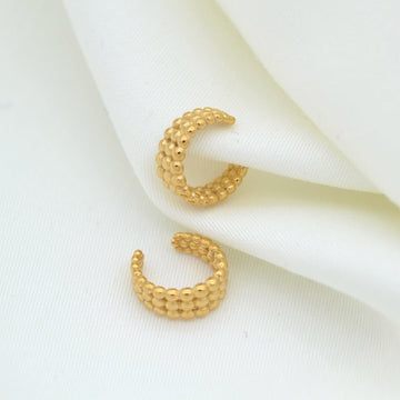 The Aquilla Earrings main image 0